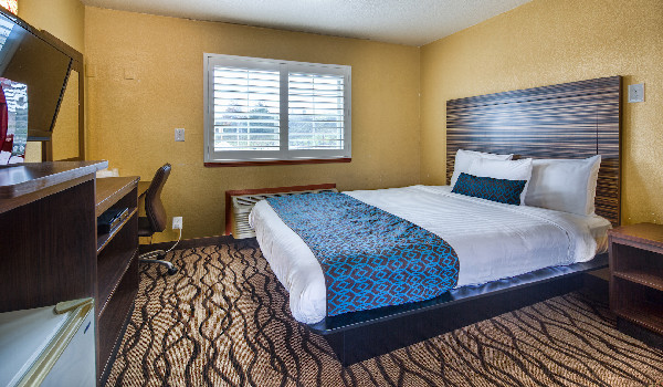 Standard Room 1 Queen Bed